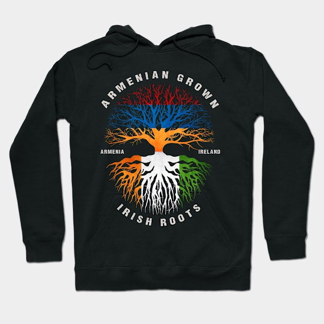 Armenian Grown Irish Roots Ireland Flag Hoodie by heart teeshirt